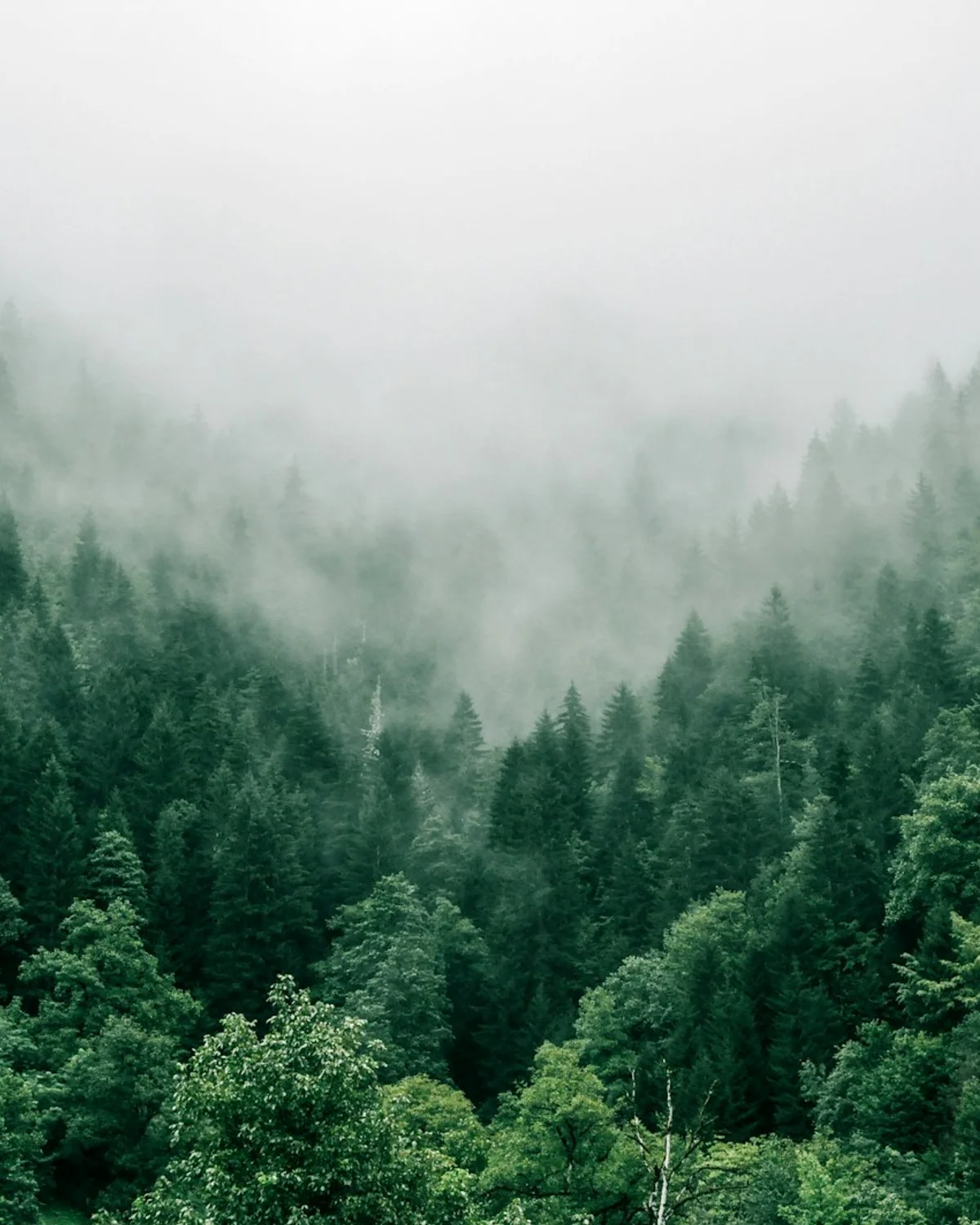 Roadtrip Süddeutschland – Schwarzwald & Alb